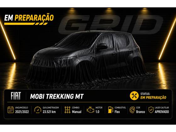 FIAT MOBI 1.0 EVO FLEX TREKKING MANUAL FIAT MOBI 1.0 EVO FLEX TREKKING MANUAL